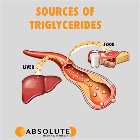 non concentrated triglycerides.